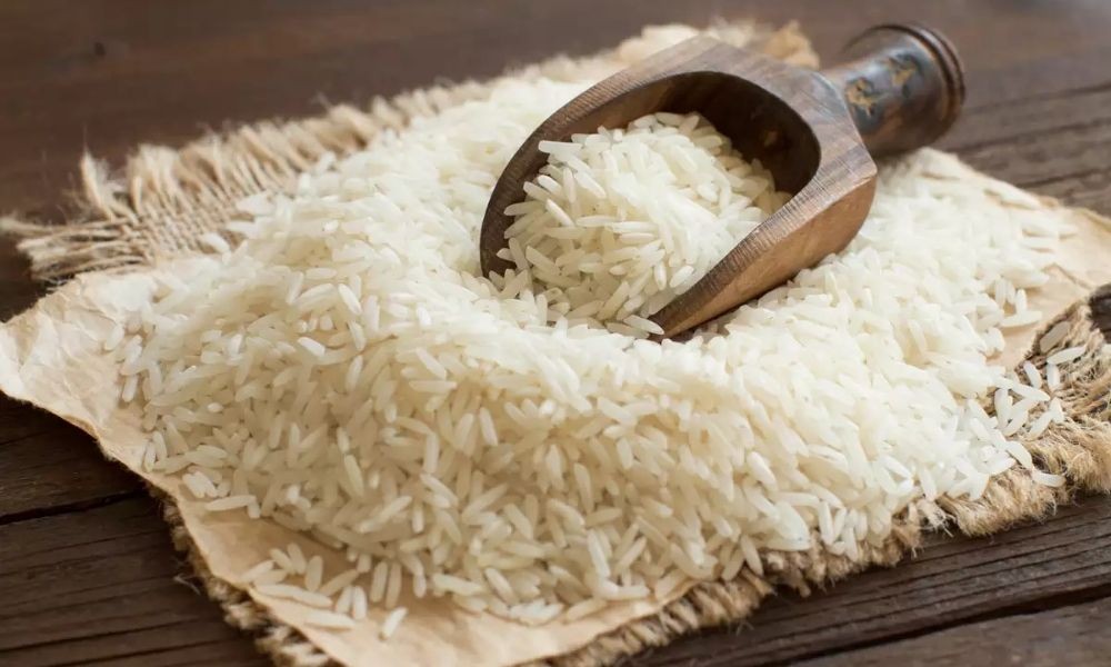 Castillo Brand Rice Rice Brands in Singapore: Best Choices for Daily Cooking and Meals ...